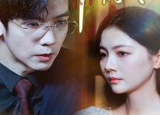 【只待千帆尽】40集在线免费短剧赏观