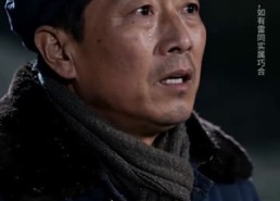 【携狐伴雀，万兽称我为王】68集短剧免费全集赏映
