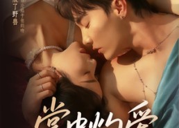 【掌中灼爱】62集免费短剧全集流畅播放