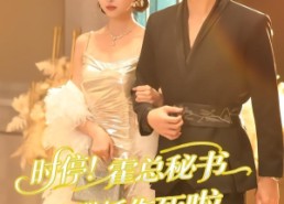 【时停！霍总秘书又在撒娇作死啦】80集精彩短剧在线观看无阻