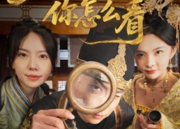 【公主，这案你怎么看】81集短剧全集免费速看