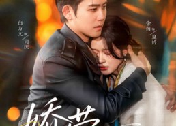 【娇莺】90集免费短剧全集畅快观看