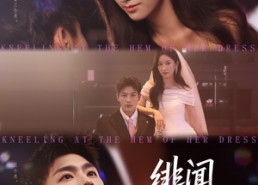 【绯闻夫妇】80集短剧在线免费全集赏