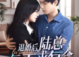【退婚后，陆总每天求复合】71集在线畅看短剧全集
