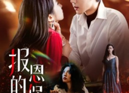 【报恩的保姆】62集短剧免费在线完整览