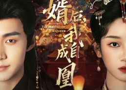 【弃婿后，我自成凰】61集免费短剧高清在线播放看