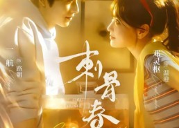【刺骨春夜】85集短剧无广告在线观看