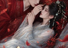 【今生不误君】106集短剧全集高清在线播放