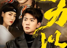 【拳力以赴】80集免费短剧完整版在线畅看