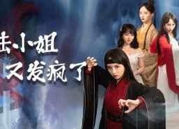 【陆小姐又发疯了】28集短剧免费全集视看