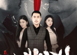 【谜凶】69集短剧完整版在线看