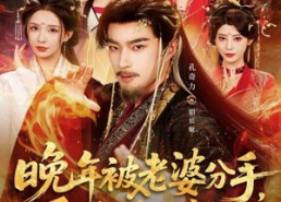 【晚年被老婆分手，系统终于来了】80集短剧免费全集在线尽情观