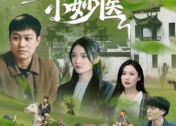 【乡村小妙医】60集短剧免费全集赏映