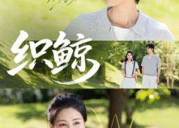 【织鲸】86集免费短剧全集线上览