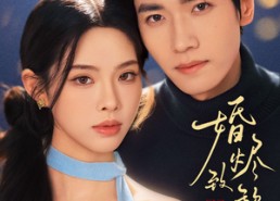 【婚烬致黎明】77集精彩短剧免费在线追看