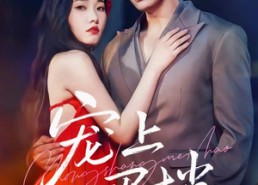 【宠上眉梢】51集短剧免费在线畅快赏