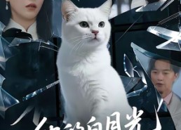 【他的白月光是只猫】69集短剧免费全集轻松观看