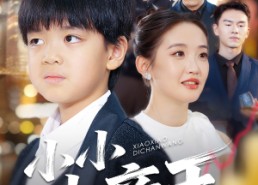 【小小地产王】50集免费短剧在线无阻观看