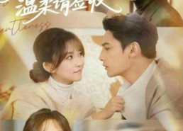 【慕先生的温柔请签收】90集短剧全集在线免费观