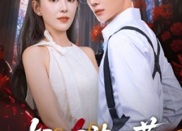 【轻烟染日暮】71集短剧免费全集线上欣赏