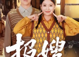 【报嫂】80集优质短剧免费在线观看