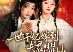 【世子妃嫁到，夫君日日求贴贴】90集热门短剧在线免费播