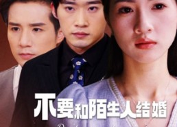 【不要和陌生人结婚】90集短剧在线免费全集看