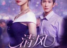 【清风渡南枝】67集免费短剧全集速看
