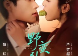 【野蛮引诱】80集短剧全网免费观看全集