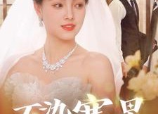 【不染寒星】101集免费短剧全集观览