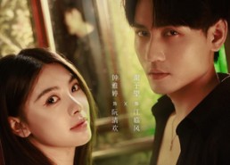 【天若有情】83集短剧免费高清在线浏览