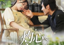 【灼心之爱】69集免费短剧在线全集畅看