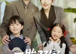 【一胎双宝总裁爹地请接招】56集短剧免费全集线上观