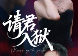 【请君入狱】31集免费在线看短剧全集