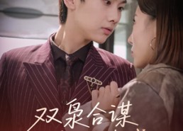 【双枭合谋暗夜破晓】30集精彩短剧免费赏看