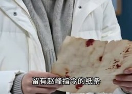【五度重生：海岛绝境共生】35集热门短剧免费在线赏