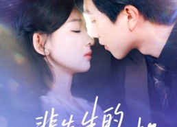 【裴先生的小撩精】84集短剧在线无广全集赏