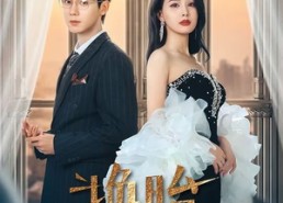 【换胎】60集短剧免费在线尽情观看