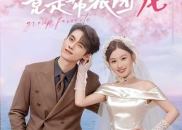 【闪婚妈咪竟是帮派团宠】86集短剧在线免费畅观