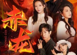 【赤龙印】80集免费短剧全集畅快看