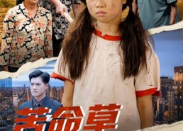 【苦命草翻身宝】62集短剧免费在线随意看