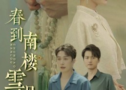 【春到南楼雪尽处】85集高清短剧免费看全集