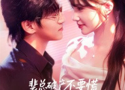 【裴总破产不要慌，炮灰前妻带你飞】66集在线短剧免费随心看