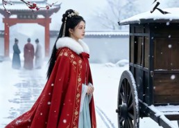 【雪落不归人】60集短剧免费在线观赏集