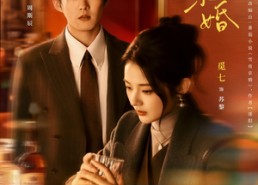 【雪夜京婚】84集短剧免费在线高清畅享看