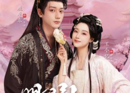 【明月引君心】74集短剧免费全集在线赏