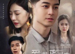 【爱若离去】70集短剧免费高清在线观看