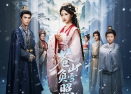 【苍山负雪照天南】70集短剧免费全集线上看