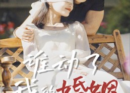 【谁动了我的婚姻】24集短剧免费全集乐看