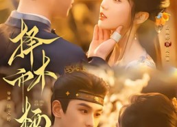 【择木而栖】84集短剧完整版在线免费看
